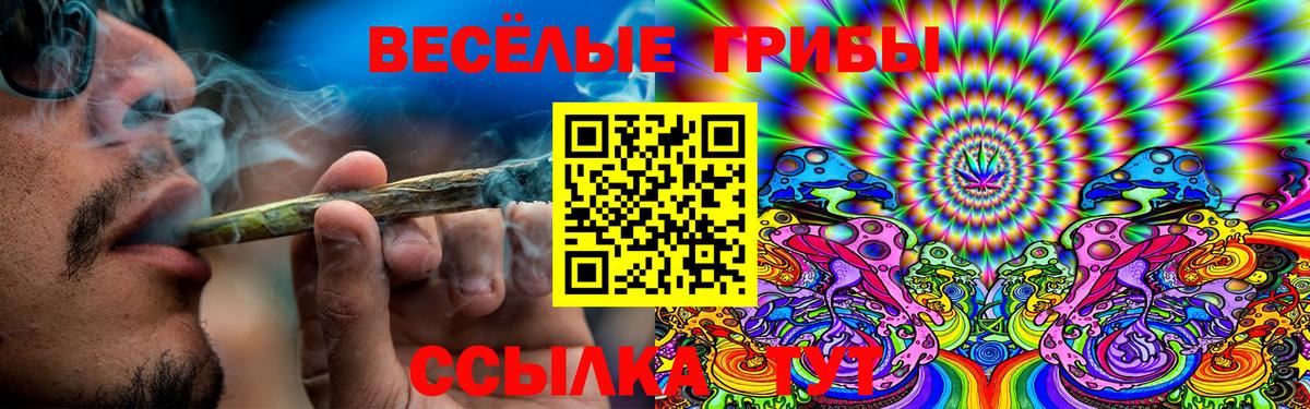 Россия  Галлюциногенные грибы Psilocybe  Вход с VPN 